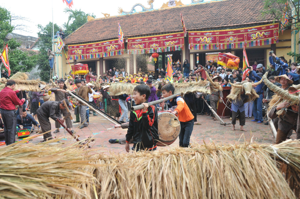 Người dân 2 làng Đồng Vệ và Bích Đại (thuộc xã Đại Đồng) đã tết những con trâu bằng rơm, rạ, đeo theo lưỡi cày ra đồng. (Ảnh: PV/Vietnam+)