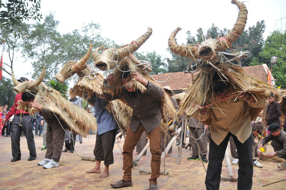 Tiếng trống, chiêng vang lên, không khí lễ hội tưng bừng, những con trâu bằng rơm, bằng rạ được người dân hóa thân đi cày. (Ảnh: PV/Vietnam+)