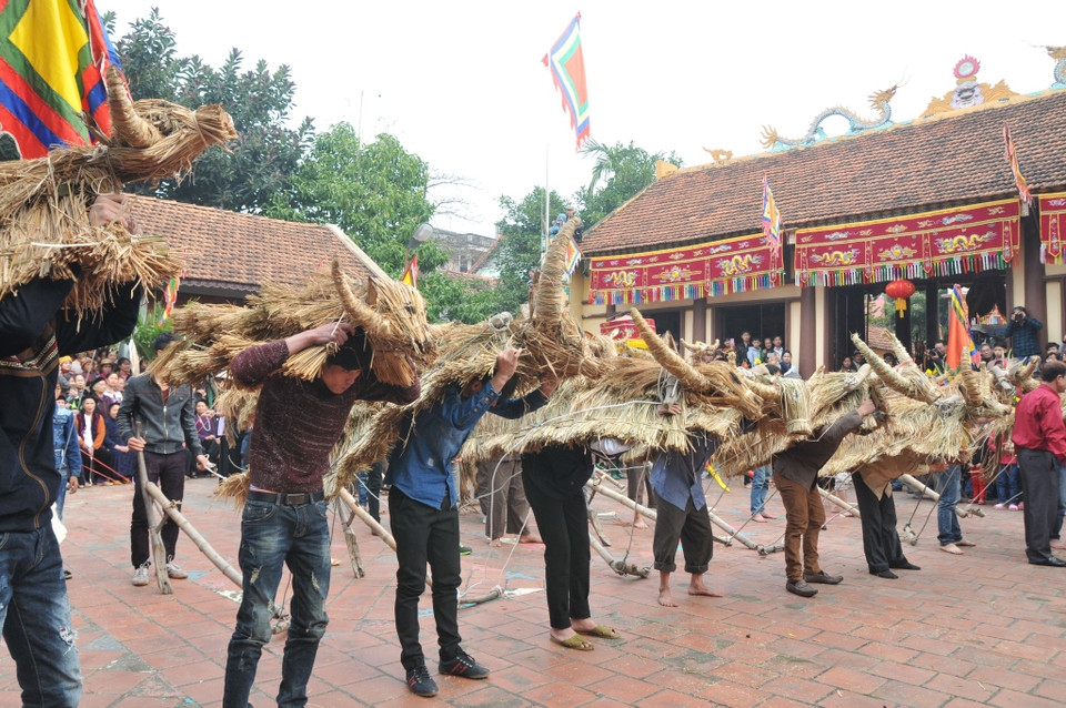 Lễ hội ‘trâu rơm bò rạ’ là ngày hội toàn dân xuống đồng. (Ảnh: PV/Vietnam+)