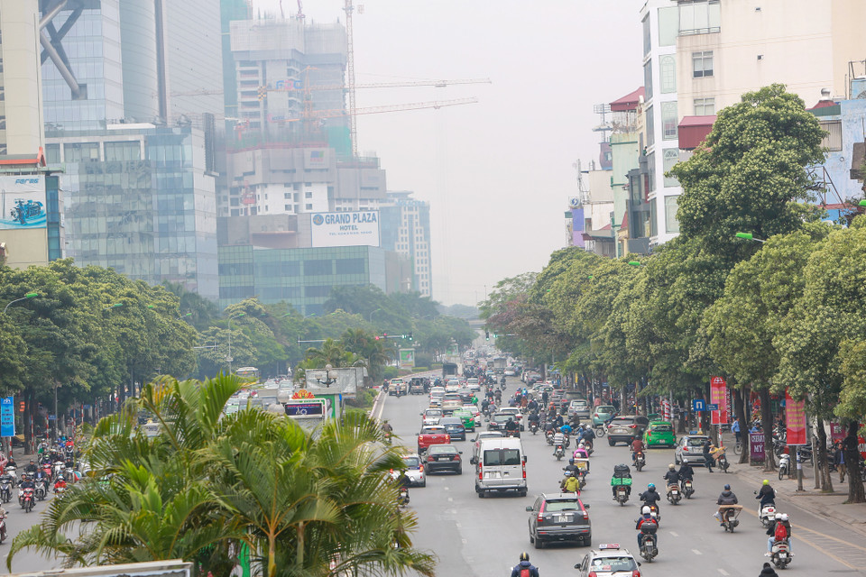 Với thời tiết dịu nhẹ, se se lạnh, hoa sữa bắt đầu nở rộ và mùi hương nồng nàn đã lan tỏa khắp các phố phường. (Ảnh: Vietnam+)