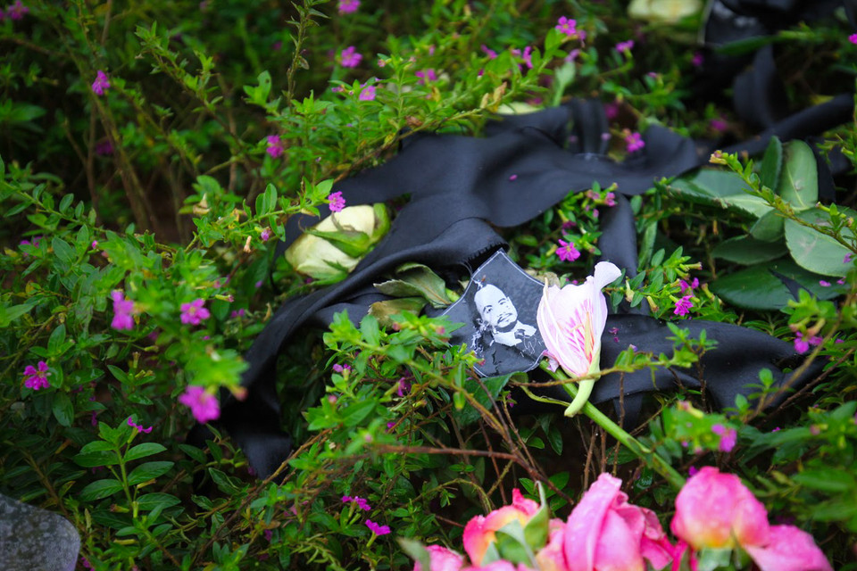 Cánh hoa ban trắng lặng lẽ đáp cạnh nơi an nghỉ của người nhạc sĩ tài ba nhưng đoản mệnh. (Ảnh: My Nguyễn/Vietnam+)