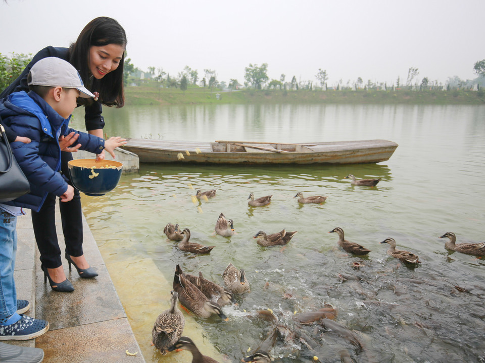 Xung quanh công viên Thiên Đức, ban quản lý đã cho nuôi rất nhiều động vật để du khách đến thăm quan. (Ảnh: My Nguyễn/Vietnam+)