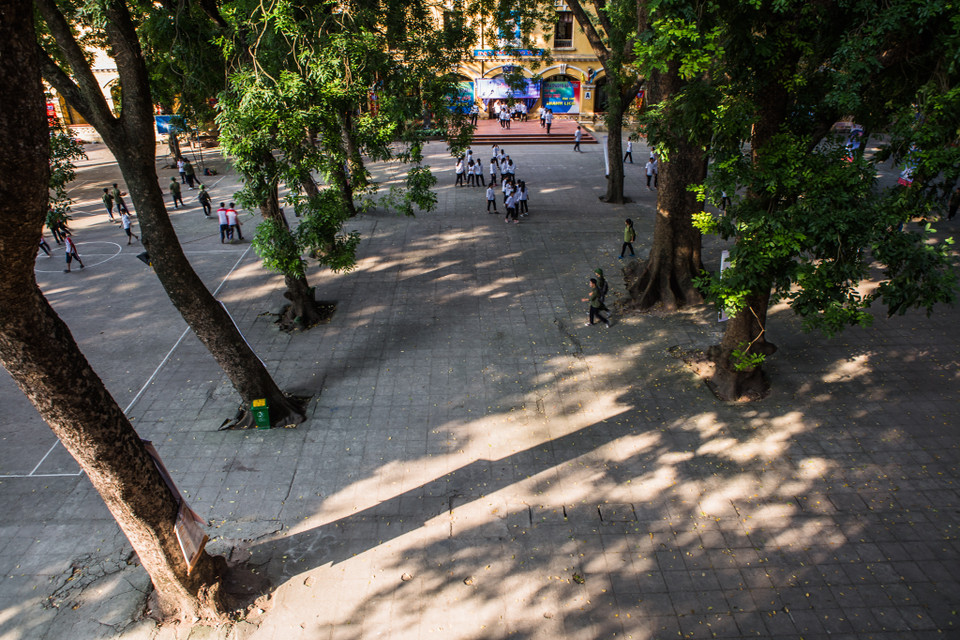 Những hàng cây xà cừ gần trăm tuổi hiên ngang giữa sân trường. (Ảnh: Minh Sơn/Vietnam+)