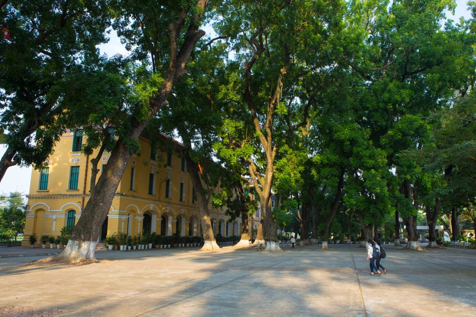 Những hàng cây xanh rợp bóng cả sân trường. (Ảnh: Minh Sơn/Vietnam+)
