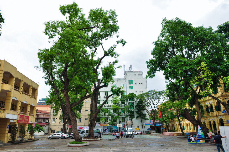 Sau khi giải phóng thủ đô (10/10/1954), trường được đặt tên là Trường phổ thông cấp 2 – 3 Hà Nội. (Ảnh: Minh Sơn/Vietnam+)