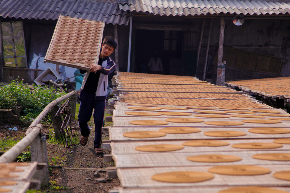 Các loại hương vòng ở Cao Thôn có đủ loại kích cớ từ nhỏ đến lớn, có loại đường kính đến 50 cm.(Ảnh: Thành Nguyễn/Vietnam+)