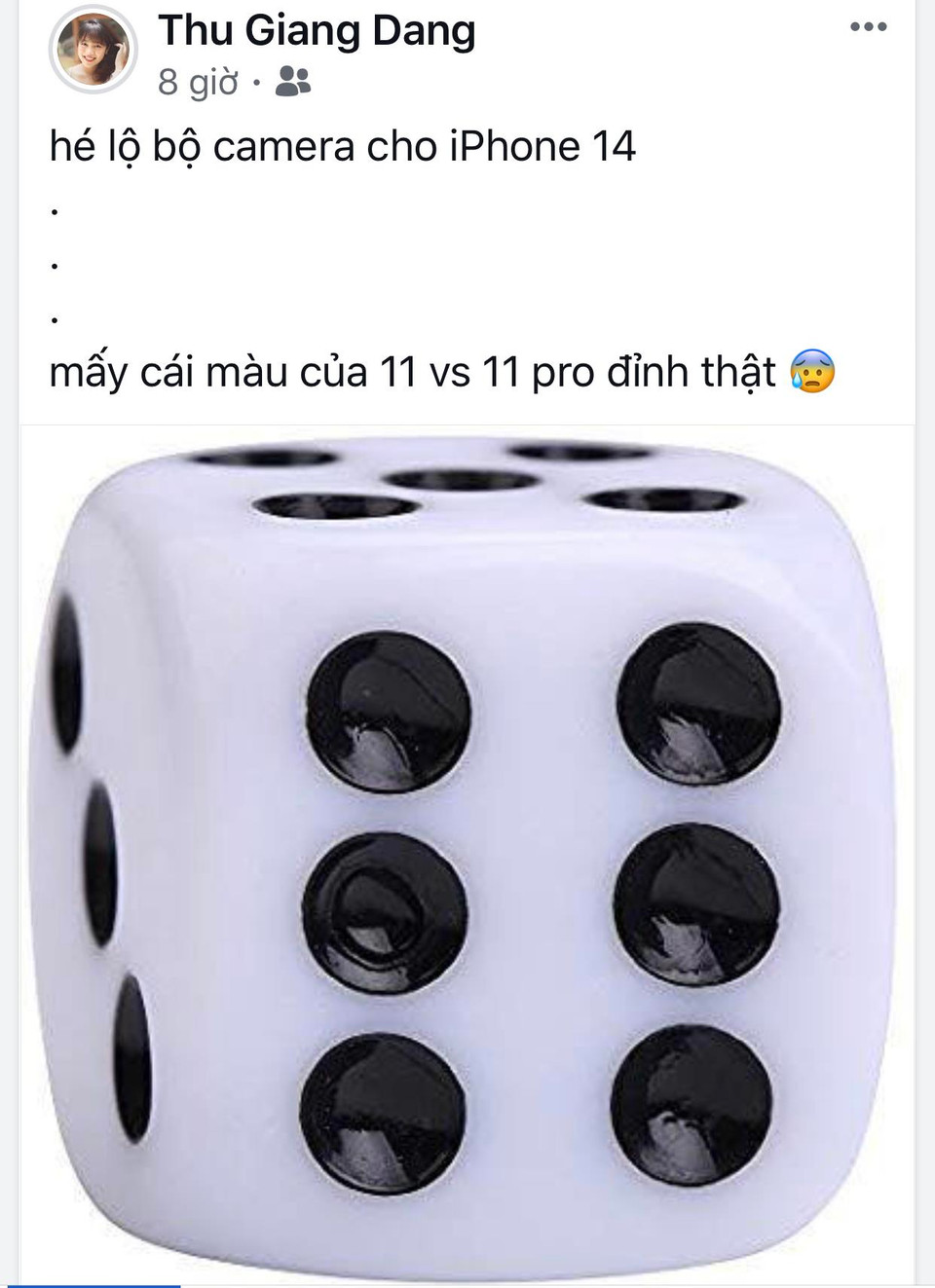 Hay giống hệt viên xúc xắc. (Ảnh: Facebook)