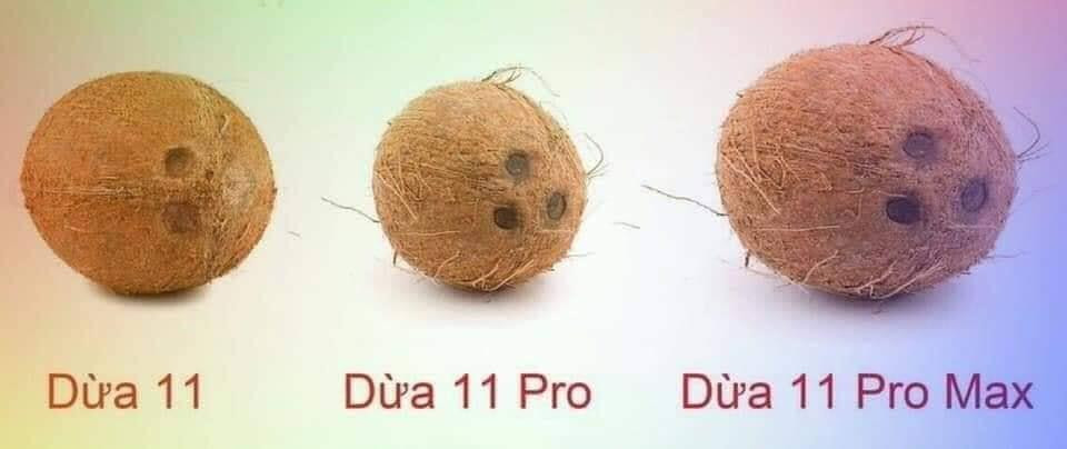 Thậm chí cộng đồng mạng còn so sánh cụm camera mới giống hệt những quả dừa. (Ảnh: Facebook)