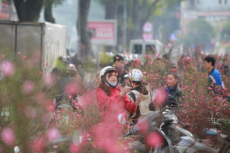 (Ảnh: Quỳnh Chi/Vietnam+)