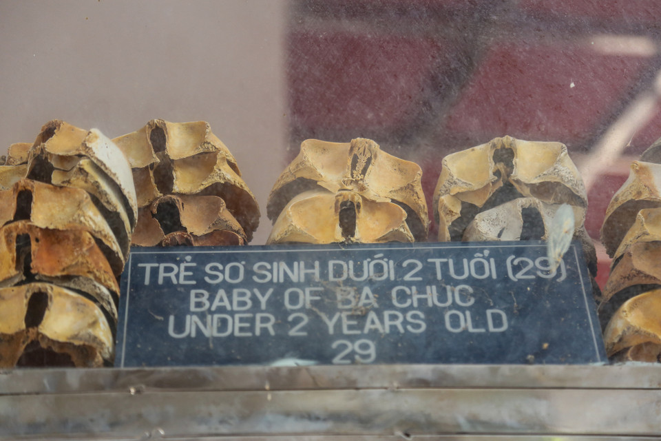 Xương cốt của các nạn nhân được phân chia theo độ tuổi từ trẻ đến già. (Ảnh: Minh Sơn/Vietnam+)