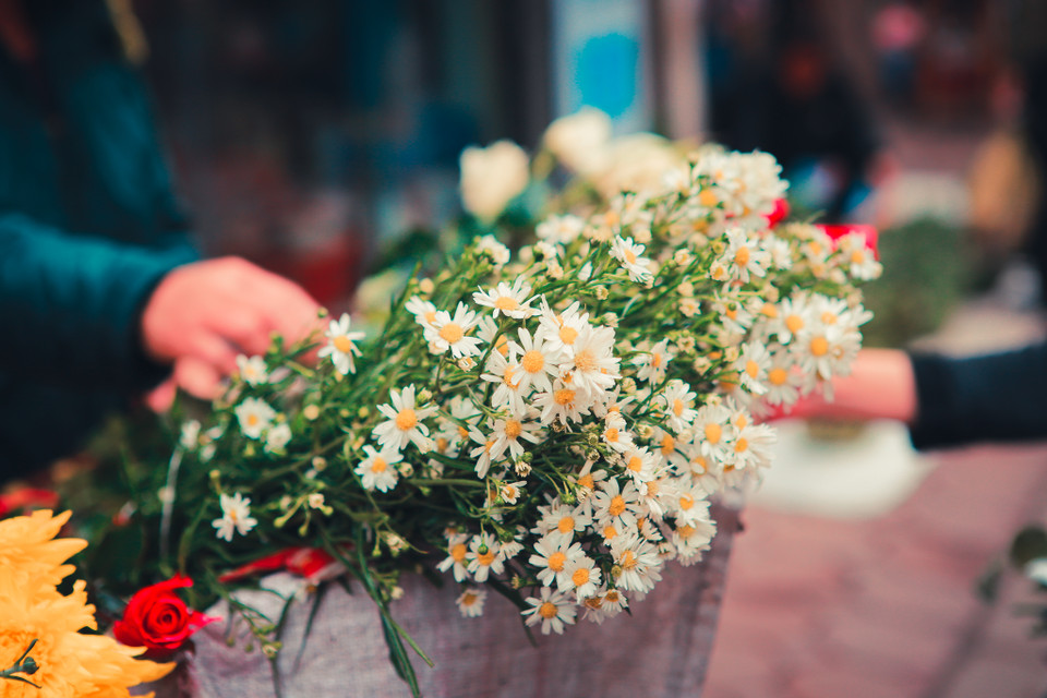 Những loài hoa giản dị mà đẹp đẽ như con phố nhỏ nhắn này. (Ảnh: Minh Sơn/Vietnam+)