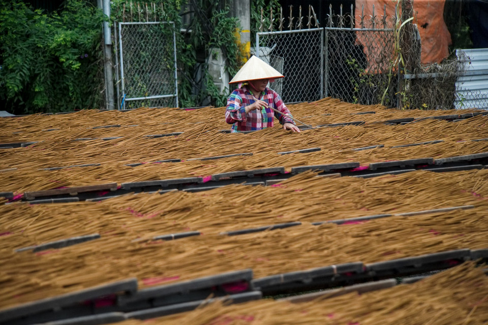 Tiếp theo, chúng được đem đi phân lớp, những que tăm chất lượng thì được mang đi nhuộm chân hương rồi phơi khô. (Ảnh: Vietnam+)
