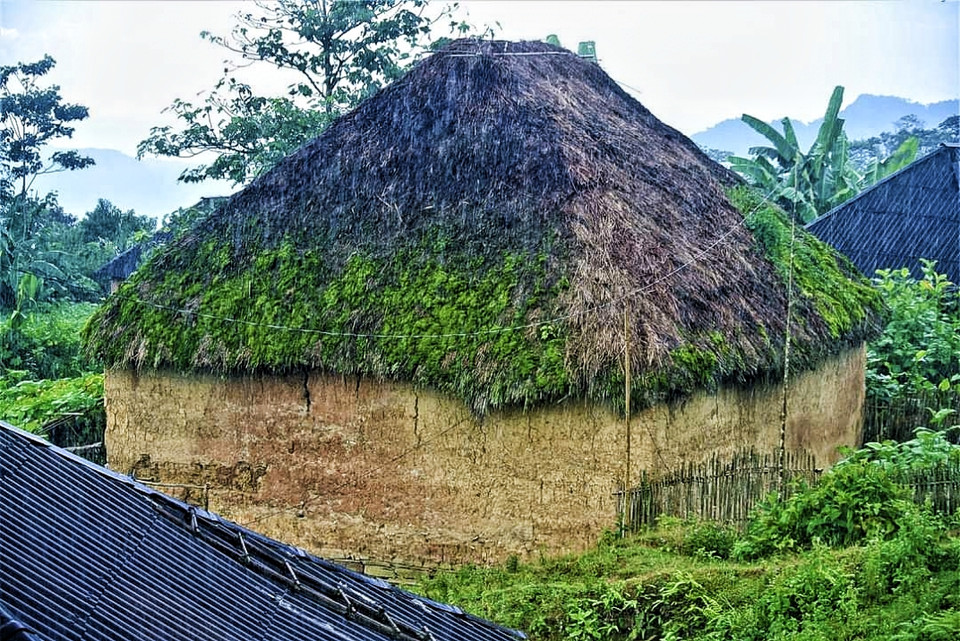 Đặc biệt nơi đây còn có những ngôi nhà trình tường mái rạ phủ rêu xanh mát mùa Hè, ấm áp mùa Đông, phù hợp với cuộc sống khắc nghiệt mà còn thiếu thốn ở vùng cao Y Tý. (Ảnh: Đỗ Hùng/Vietnam+)