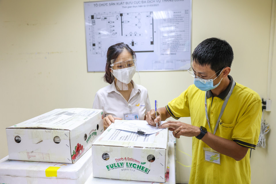Nhân viên bưu điện còn tham gia hỗ trợ đóng gói, bốc xếp hàng hóa lên xuống xe nhằm đẩy nhanh tiến độ giao hàng, thúc đẩy tiêu thụ nông sản cho bà con. Toàn bộ nhân viên Bưu điện khi tham gia hỗ trợ tiêu thụ, vận chuyển nông sản, hàng hóa đều tuân thủ nghiêm ngặt và đảm bảo tuyệt đối công tác phòng chống dịch COVID-19. (Ảnh: Minh Sơn/Vietnam+)