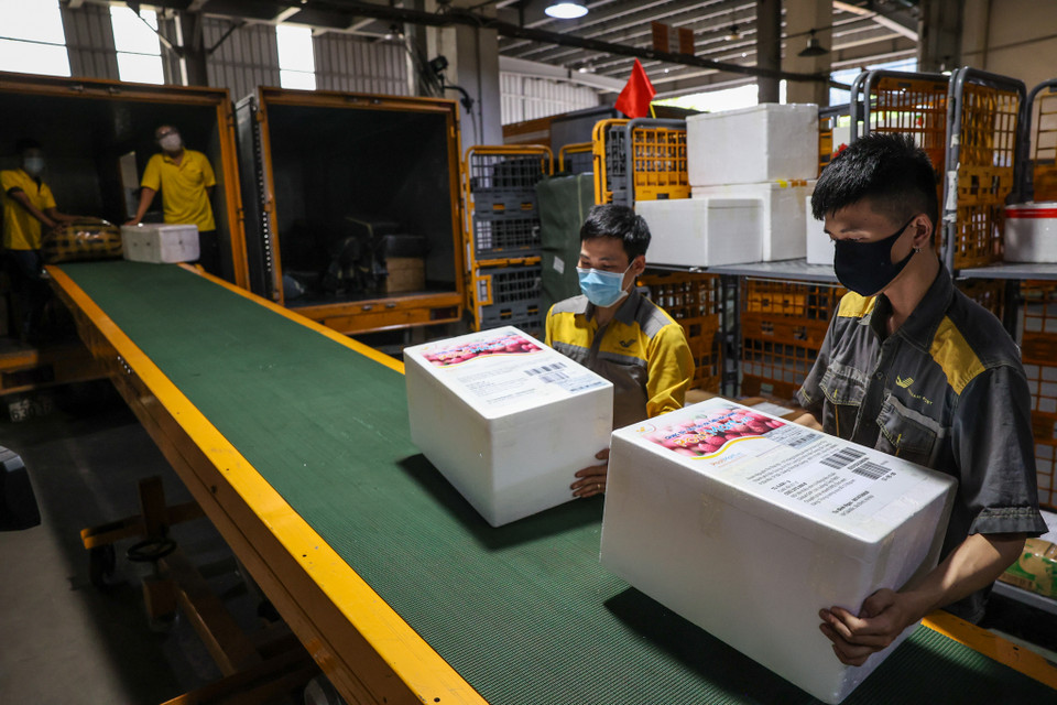 Đối với việc vận chuyển hàng hóa, nông sản đi các tỉnh, thành, mỗi ngày VietnamPost cùng Bưu điện tỉnh sẽ bố trí các loại xe vận chuyển chuyên dụng để hỗ trợ các doanh nghiệp, hợp tác xã, hộ gia đình nhanh chóng đưa hàng đến địa chỉ mua hàng. Thời gian vận chuyển hàng đối với các địa phương lân cận tỉnh Bắc Giang chỉ trong vòng 2-4 tiếng để đảm bảo độ tươi ngon, chất lượng của hàng hóa nông sản, hoa quả. (Ảnh: Minh Sơn/Vietnam+)