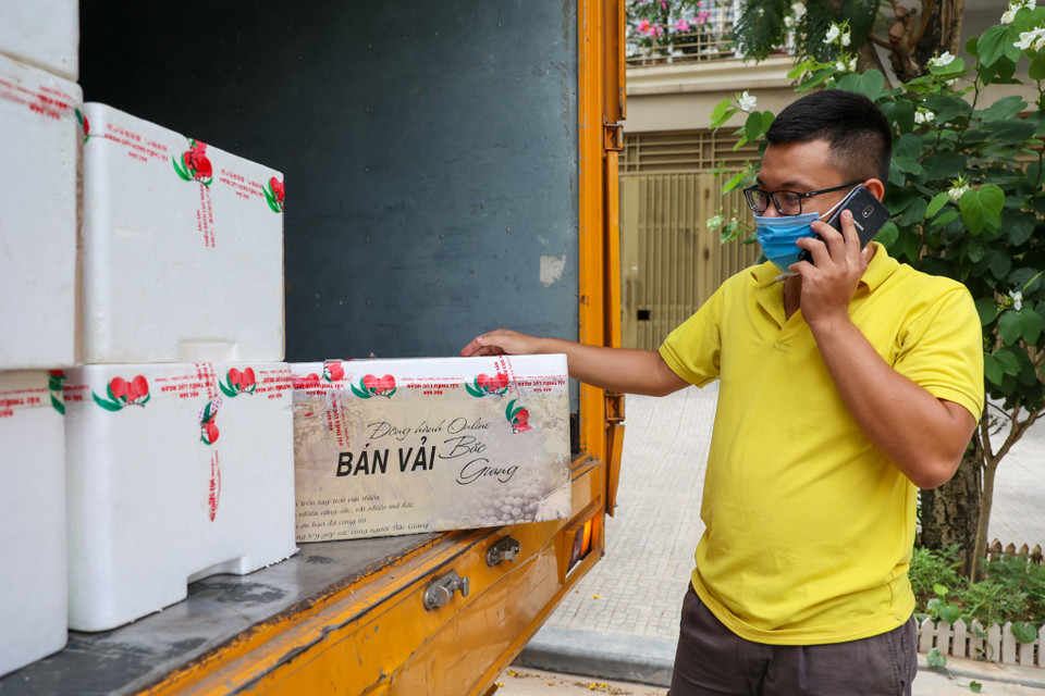 Không chỉ chị Vinh, rất nhiều khách hàng sẽ nhận được những thùng vải thiều tươi ngon với bao bì, nhãn dán đặc trưng. (Ảnh: Minh Sơn/Vietnam+)