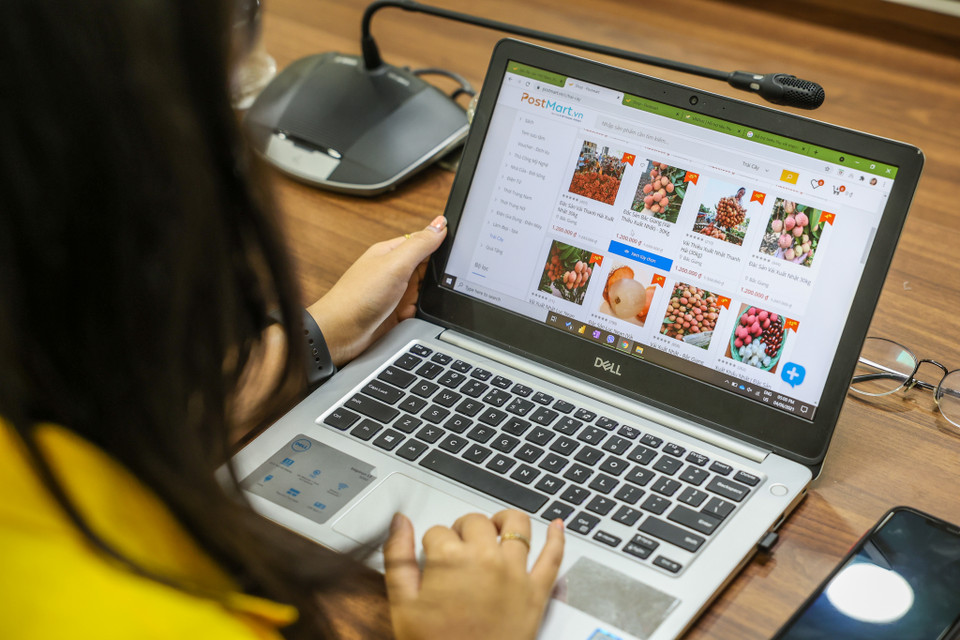 Theo đại diện Postmart, luỹ kế sản lượng vải Bắc Giang giao dịch trên sàn từ cuối tháng 5 đến nay đã đạt hơn 291.535 kg với 19.865 đơn. Luỹ kế tổng giá trị vải Bắc Giang giao dịch trên sàn đã đạt hơn 8,52 tỷ đồng. (Ảnh: Minh Sơn/Vietnam+)