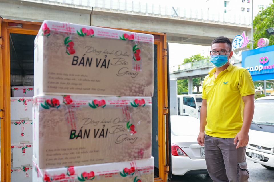 Trái vải từ lúc hái xuống vườn đến tay người tiêu dùng chỉ mất từ 2-48 tiếng đồng hồ tuỳ khu vực. (Ảnh: Minh Sơn/Vietnam+)