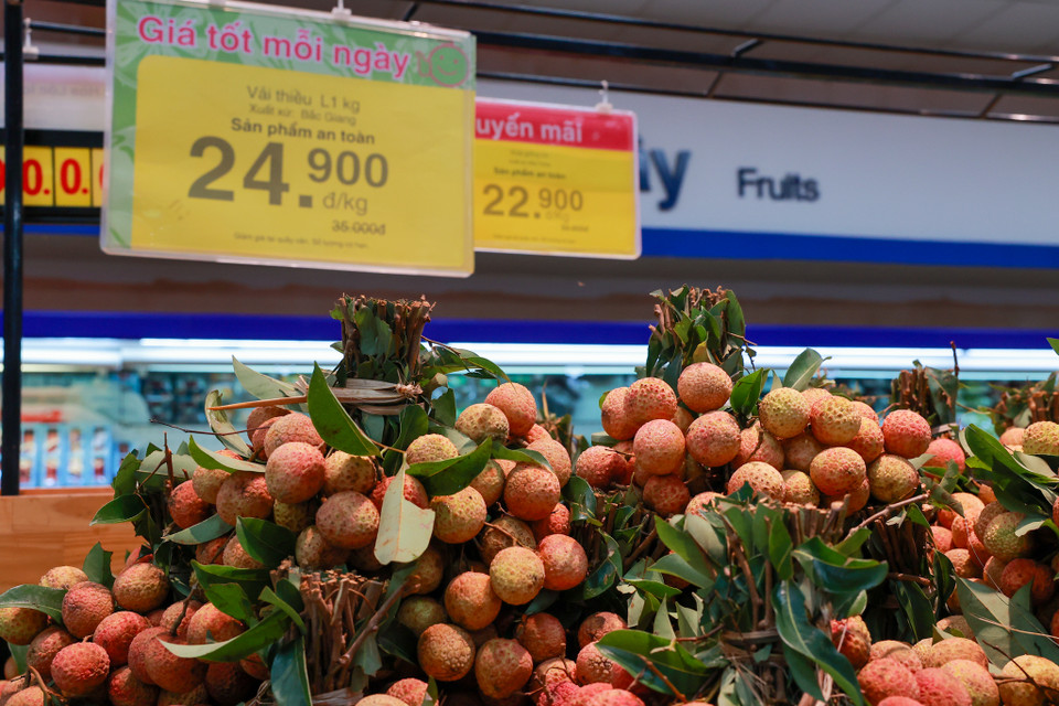 Bưu điện tỉnh, Postmart đã đề xuất với các tỉnh tham gia hỗ trợ trực tiếp nông dân tiêu thụ nông sản qua các kênh truyền thống và kênh online bán hàng qua sàn thương mại điện tử Postmart đồng thời hỗ trợ trực tiếp thu gom nhà cung cấp; đưa các mặt hàng nông sản lên sàn và thực hiện các chương trình hỗ trợ vận chuyển nông sản, hàng hóa thiết yếu từ Bắc Giang đi các tỉnh, thành phố. (Ảnh: Minh Sơn/Vietnam+)