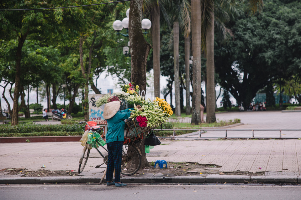 Cứ mỗi độ tháng Tư về, không hẹn mà gặp, người dân Thủ đô không khỏi ngẩn ngơ trước mỗi xe hoa đầy ắp nụ loa kèn. (Ảnh: Minh Sơn/Vietnam+)
