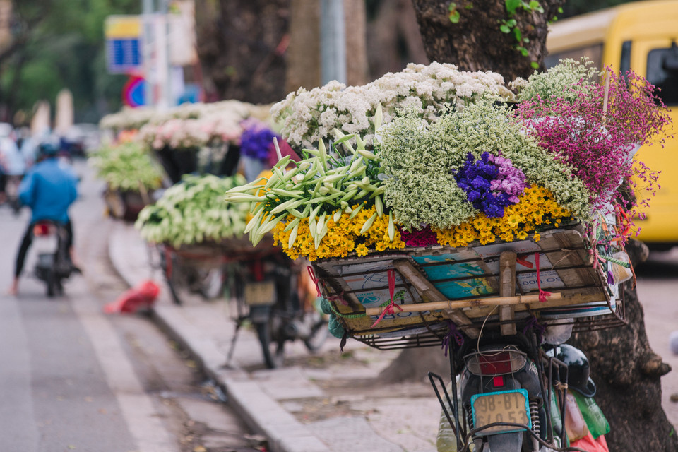 Hà Nội vội vã, ngột ngạt của những ngày đầu Hè bất chợt trở nên nên thơ, lãng mạn hơn nhiều khi xuất hiện những gánh hàng bán hoa loa kèn. (Ảnh: Minh Sơn/Vietnam+)