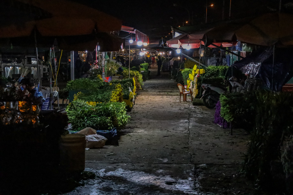 Không chỉ nguồn hàng bị giảm sút mà lượng khách đến mua cũng chỉ lác đác được vài người. (Ảnh: Minh Sơn/Vietnam+)