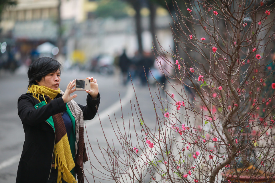 Dự án Bích họa trên phố Phùng Hưng do UN – Habitat (Chương trình định cư con người Liên hợp quốc), Korea Foundation (Quỹ giao lưu quốc tế Hàn Quốc (Korea Foundation) phối hợp với Ủy ban Nhân dân quận Hoàn Kiếm thực hiện. (Ảnh: Minh Sơn/Vietnam+)