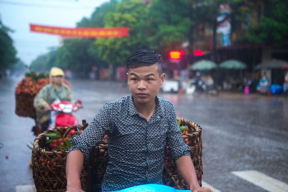 Chàng thanh niên lo lắng khi vải chất lượng kém bị thương lái thu mua với giá chỉ 7.000 đồng/kg. (Ảnh: Minh Sơn/Vietnam+)