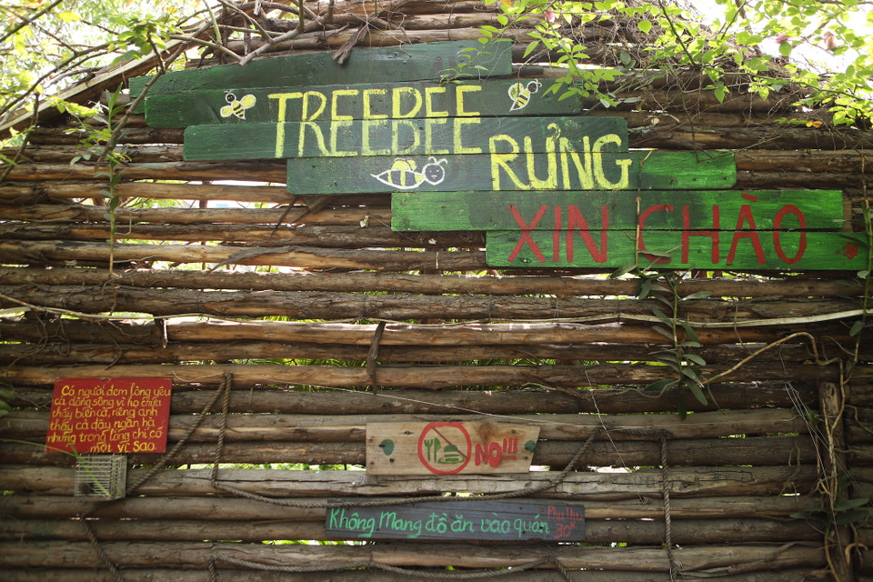 Treebee là một không gian tuyệt vời để làm việc, sáng tạo, hội họp hay gặp gỡ bạn bè vào những ngày cuối tuần thong thả với lối thiết kế nghiêng về cây xanh và gỗ mộc ở con đường Nguyễn Văn huyên kéo dài. (Ảnh: Quỳnh Anh/Vietnam+)