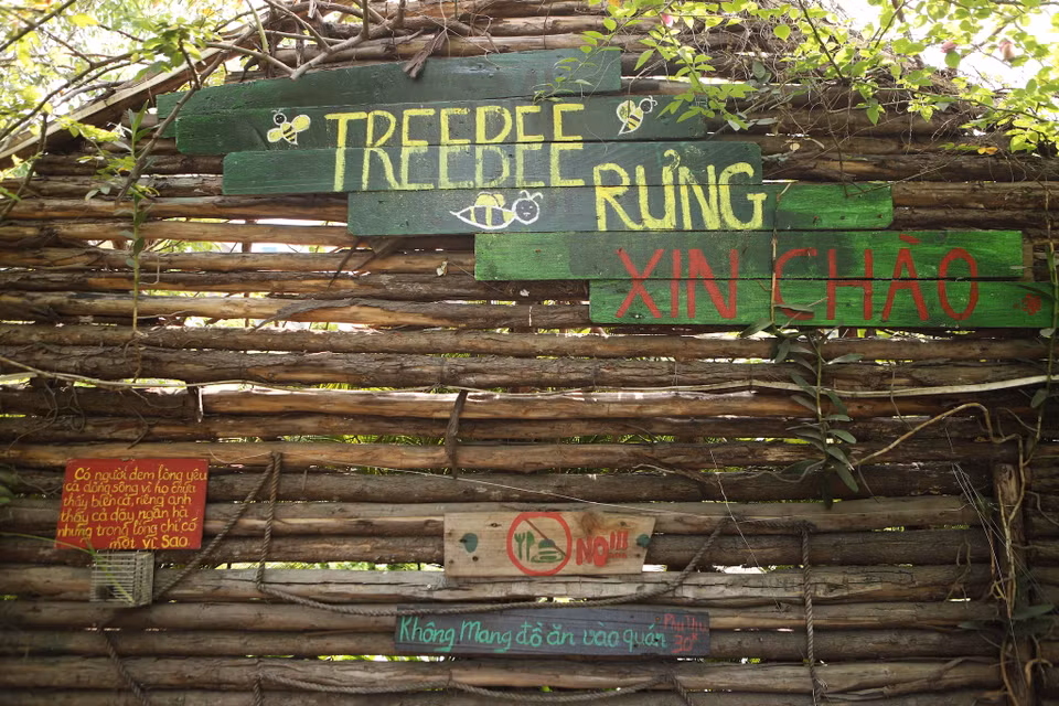 Treebee là một không gian tuyệt vời để làm việc, sáng tạo, hội họp hay gặp gỡ bạn bè vào những ngày cuối tuần thong thả với lối thiết kế nghiêng về cây xanh và gỗ mộc ở con đường Nguyễn Văn huyên kéo dài. (Ảnh: Quỳnh Anh/Vietnam+)