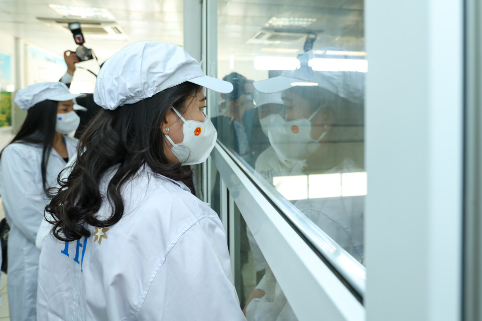 Tập đoàn TH đã xây dựng thành công một hệ thống 9 khu chuồng trại lớn cho đàn bò quy mô tiệm cận 70 ngàn con bò sữa với những sáng tạo độc đáo trong chăn nuôi tập trung mà trên thế giới không có nhiều dự án sữa làm được điều này. (Ảnh: Minh Sơn/Vietnam+)