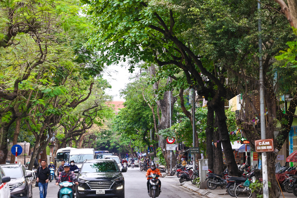 Cũng trong năm 2023, quận Đống Đa sẽ lập đề án triển khai tuyến phố ẩm thực Nguyễn Văn Tuyết thuộc phường Trung Liệt. (Ảnh: Minh Sơn/Vietnam+)