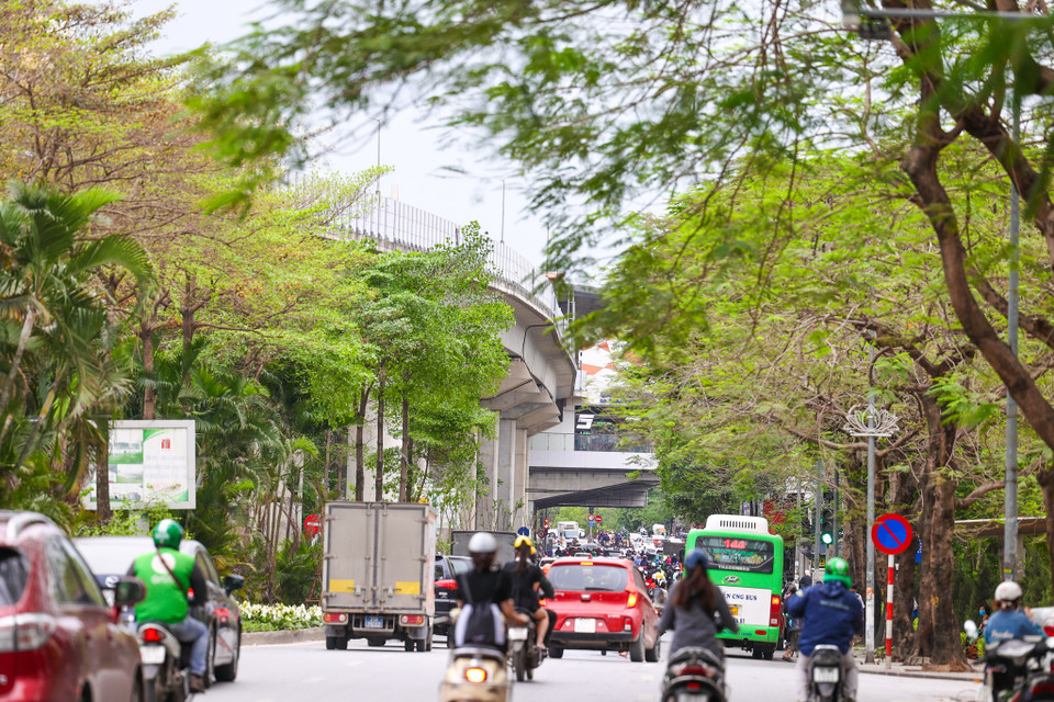 Hiện tại Hà Nội có 5 phố đi bộ, gồm: Không gian đi bộ Hồ Gươm và vùng phụ cận, khu phố cổ Hà Nội, phố Trịnh Công Sơn, phố quanh thành cổ Sơn Tây, phố Trần Nhân Tông và phụ cận. (Ảnh: Minh Sơn/Vietnam+)