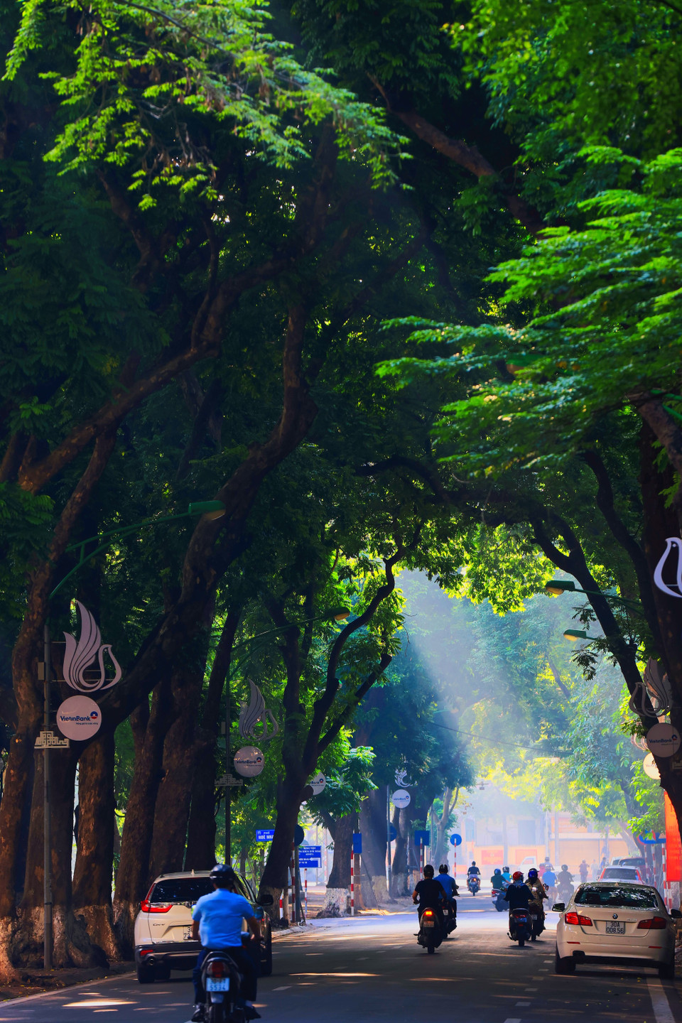 Ánh nắng mùa Thu khong gay gắt nhưng mùa Hè, mà ngược lại rất dịu mát, phủ lên cảnh vật xung quanh một vẻ nên thơ. (Ảnh: Minh Sơn/Vietnam+)