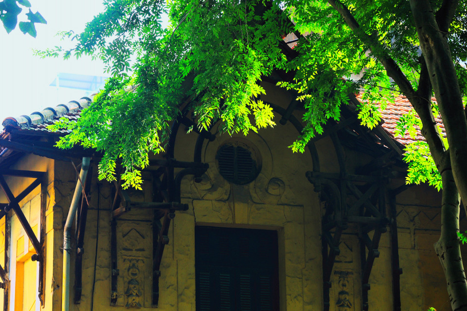 Tuy nhiên, không vì thế mà Hà Nội lại mất đi vẻ lãng mạn vốn có của mình. (Ảnh: Minh Sơn/Vietnam+)