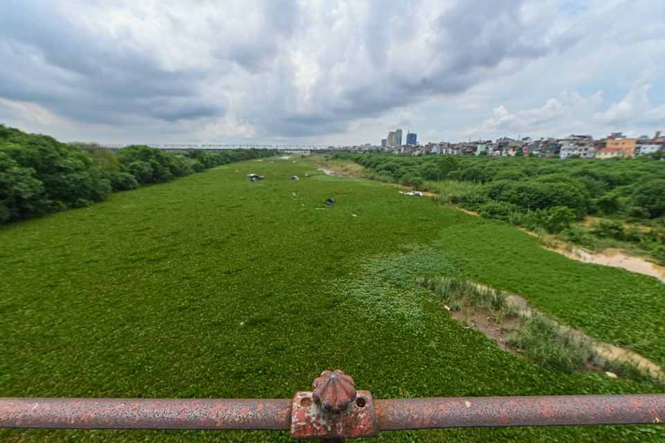 Rất có thể trong vài ngày tới, toàn bộ khu vực bãi giữa sông Hồng sẽ chìm nghỉm trong nước. (Ảnh: PV/Vietnam+)