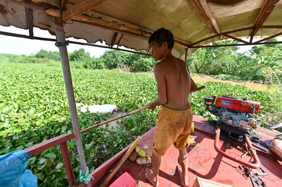 Nước sông Hồng dâng cao ảnh hưởng không ít tới việc sinh hoạt của người dân. (Ảnh: PV/Vietnam+)