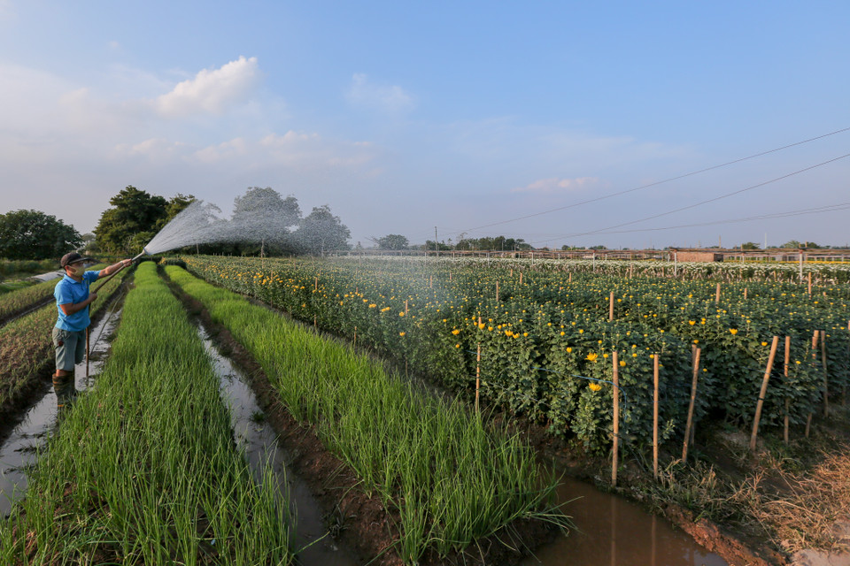 (Ảnh: Minh Sơn/Vietnam+)