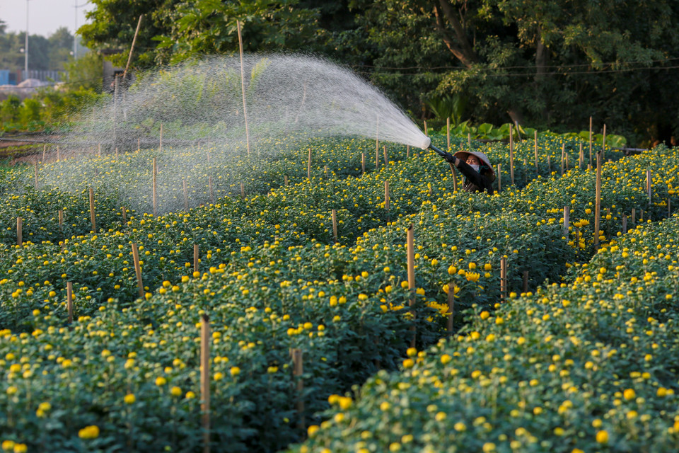 (Ảnh: Minh Sơn/Vietnam+)