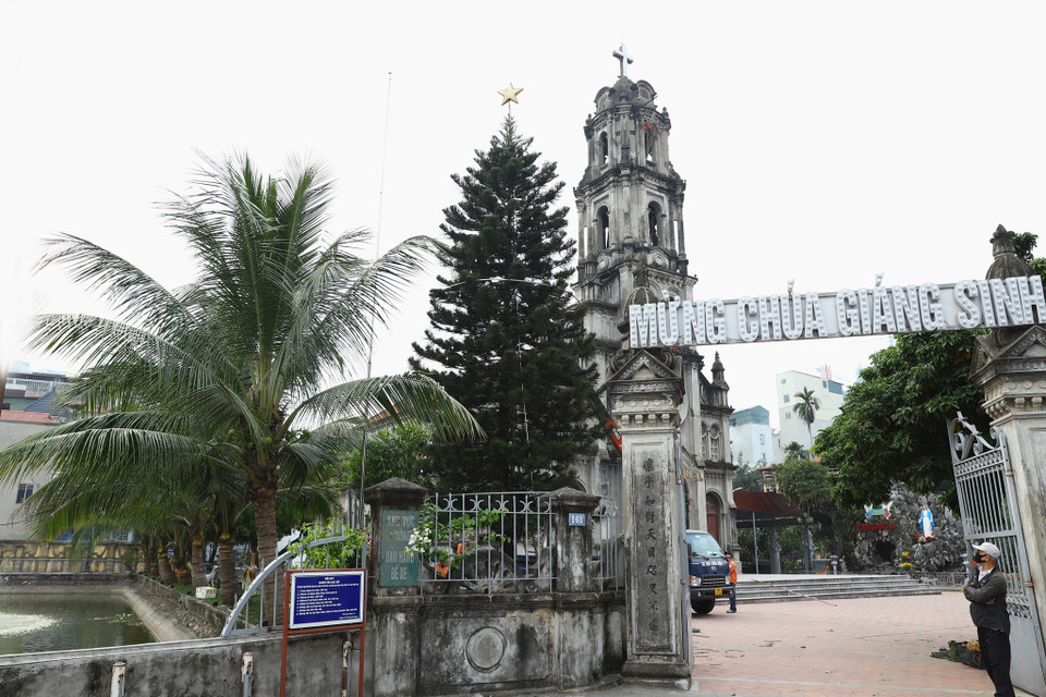 Cây bách tán ở cổng vào được tận dụng làm khung để dựng cây thông khổng lồ. (Ảnh: Hoài Nam/Vietnam+)