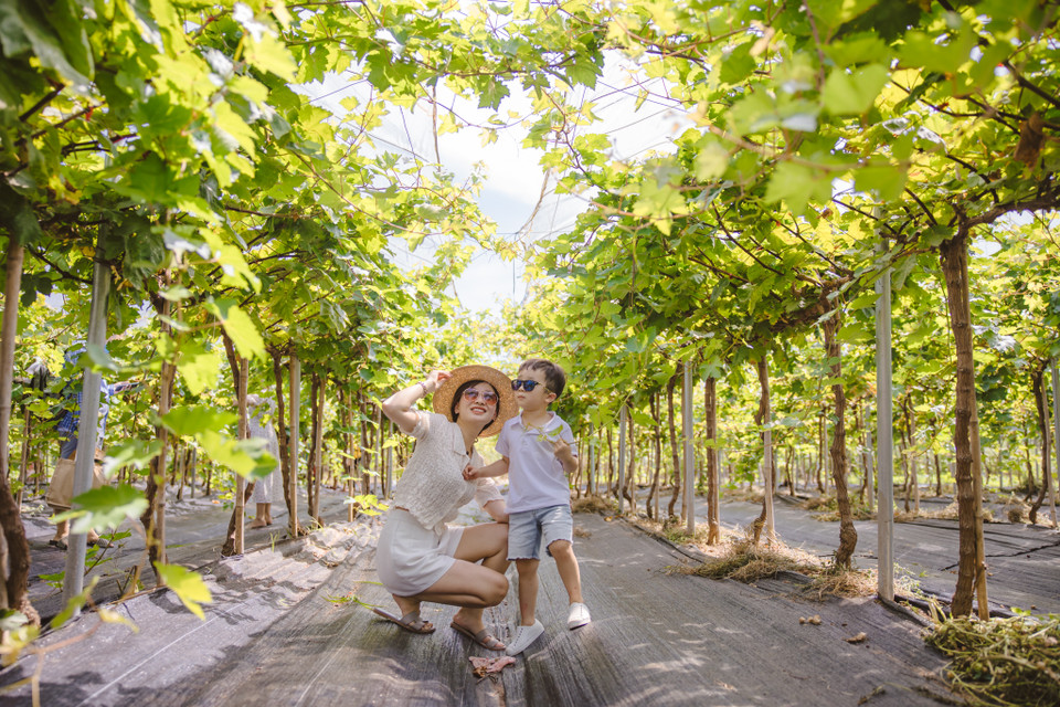 Đây sẽ là địa điểm thích hợp để họp mặt các nhóm bạn thân, gia đình hay cho các bạn nhỏ đi trải nghiệm. (Ảnh: Minh Sơn/Vietnam+)