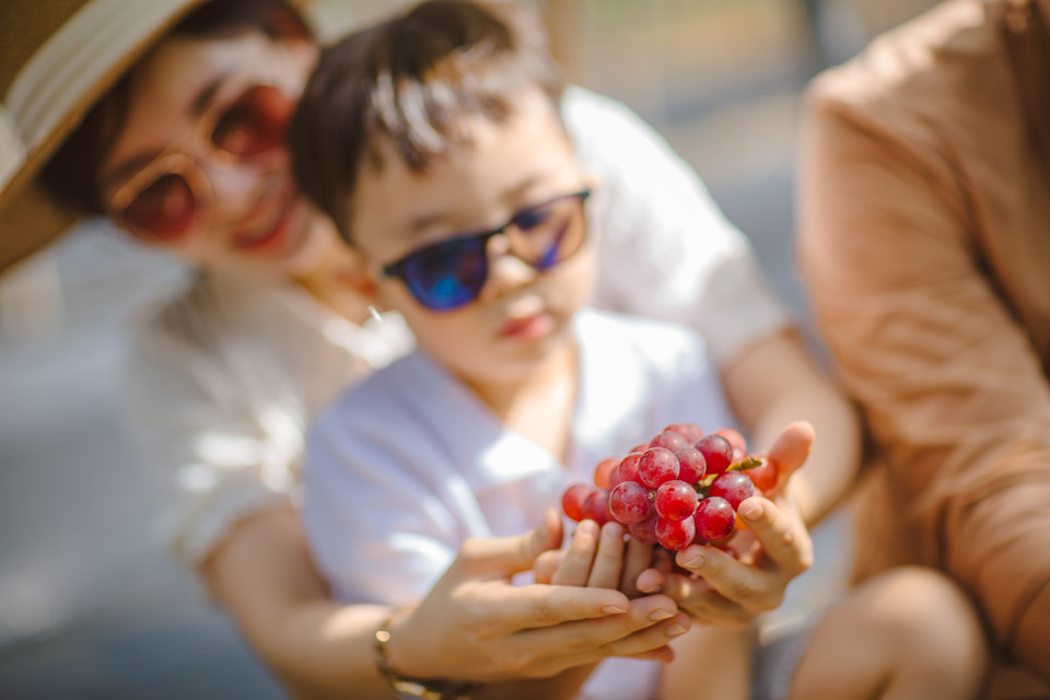 Nông trại mở cửa cho du khách đến tham quan tất cả các ngày trong tuần, tuy nhiên vào cuối tuần số lượng người đến đây khá đông. (Ảnh: Minh Sơn/Vietnam+)