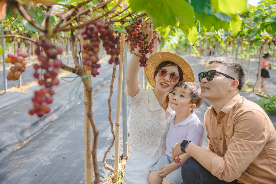 Nhiều gia đình tranh thủ dịp cuối tuần đưa con em mình đến đây để trải nghiệm làm nông dân đích thực. (Ảnh: Minh Sơn/Vietnam+)