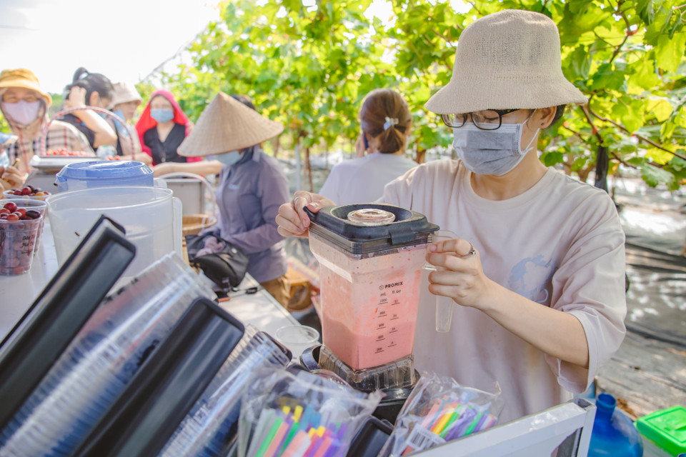 Nơi đây còn trực tiếp bán sinh tố nho hoặc dâu cho các gia đình có nhu cầu. (Ảnh: Minh Sơn/Vietnam+)