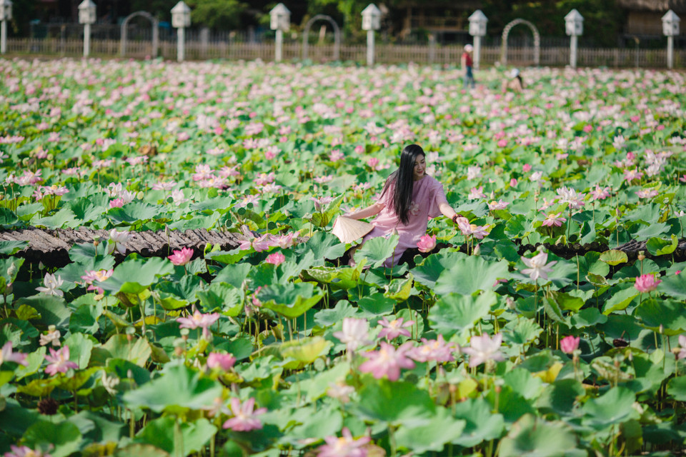 (Ảnh: Minh Sơn/Vietnam+)