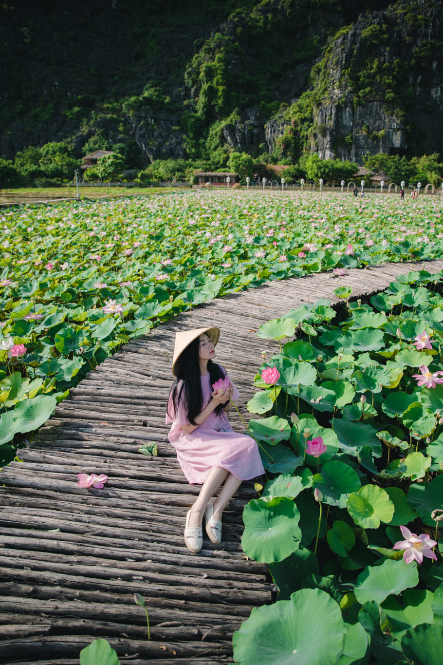 Dạo bước giữa cánh đồng sen rực rỡ, hít hà hương sen thơm ngát là trải nghiệm mà bất cứ ai cũng đều sẽ mê đắm khi đến Hang Múa. (Ảnh: Minh Sơn/Vietnam+)