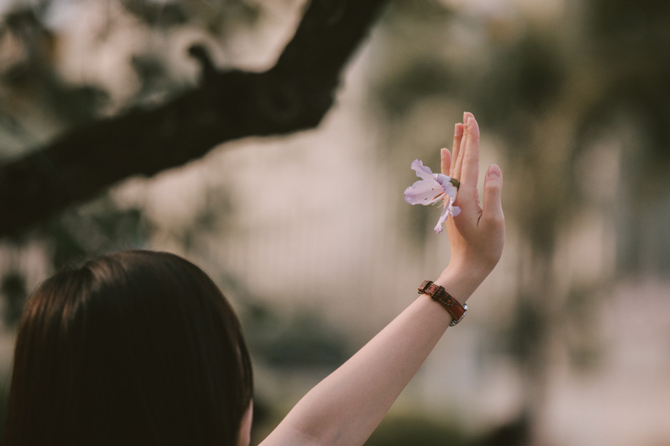 Vẻ đẹp của hoa ban thu hút giới nhiếp ảnh, ai đi qua cũng không khỏi bị thu hút bởi vẻ đẹp mong manh, dịu dàng của những cánh hoa tím mỏng manh. (Ảnh: Minh Sơn/Vietnam+)