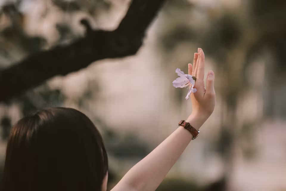 Vẻ đẹp của hoa ban thu hút giới nhiếp ảnh, ai đi qua cũng không khỏi bị thu hút bởi vẻ đẹp mong manh, dịu dàng của những cánh hoa tím mỏng manh. (Ảnh: Minh Sơn/Vietnam+)