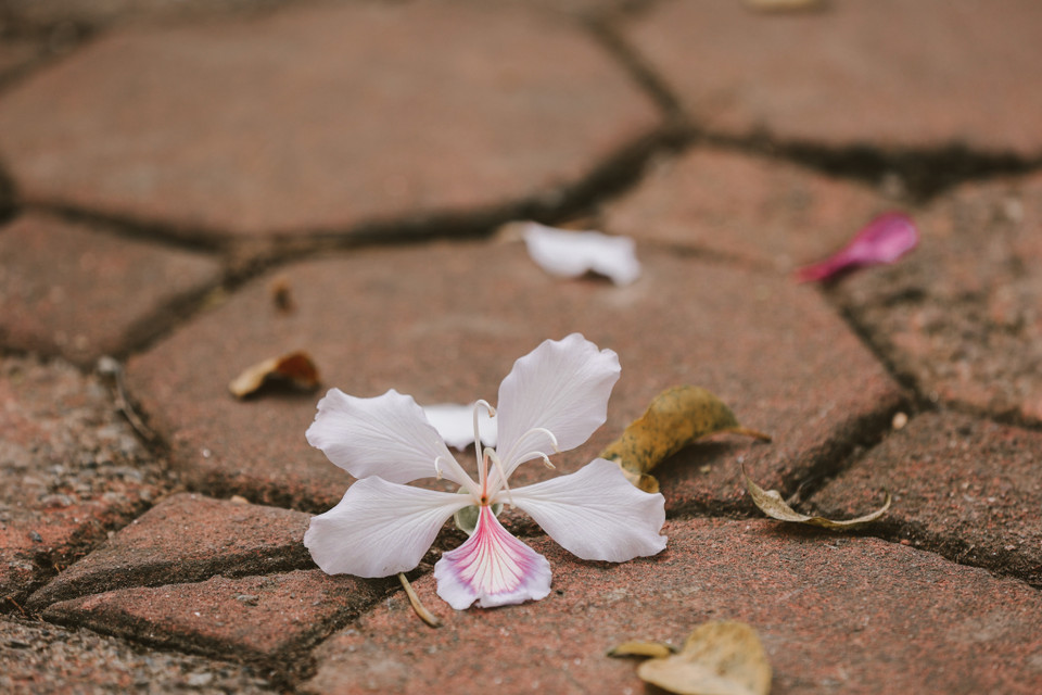 (Ảnh: Minh Sơn/Vietnam+)