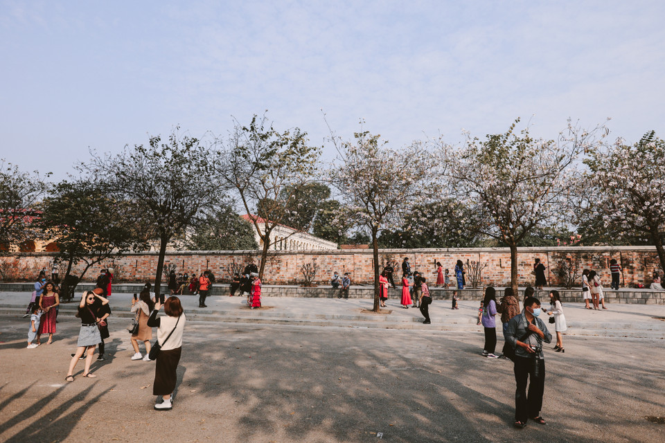 Đường Hoàng Diệu là một trong những địa điểm được nhiều người dân Thủ đô lựa chọn tìm đến chụp hình. (Ảnh: Minh Sơn/Vietnam+)